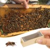 Yardwe 5pcs Wooden Queen Cages, Queen Cage Beekeeping Tools Queen