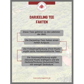 Lerbs & Hagedorn, Darjeeling Second Flush GFOP Kalley Valley | Mature, Aromatic 250 g (approx. 20 Litres)