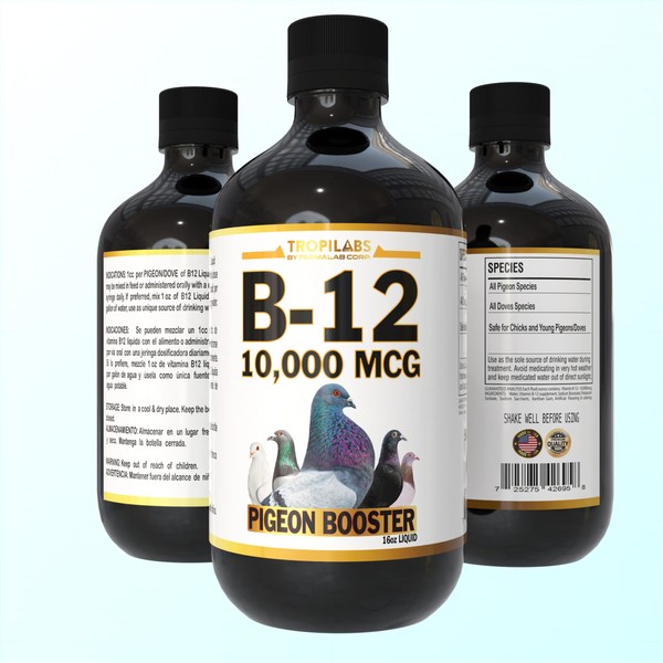 B12 B-12 Liquid 10,000 MCG Supplement for Poultry Birds, Chickens,