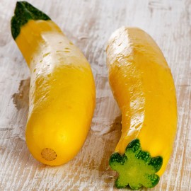 Eden Brothers Squash (Summer) Seeds - Early Prolific Straightneck Non-GMO Seeds for Planting, Packet | Low-Maintenance Vegetable Seeds, Plant During Warm Season, Zones 10, 3, 4, 5, 6, 7, 8, 9