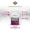 Diamond Naturals Large Breed Puppy Real Lamb Recipe Premium Dry