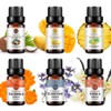 RAINBOW ABBY 6-Pack Orangic 100% Pure Essential Oil Set (Vanilla,