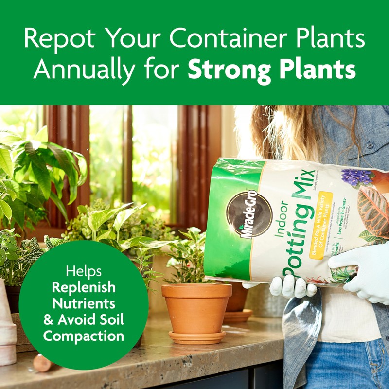 Miracle-Gro Indoor Potting Mix, Blended for a Variety of Houseplants,