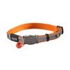 Rogz Catz NightCat Collar, Orange