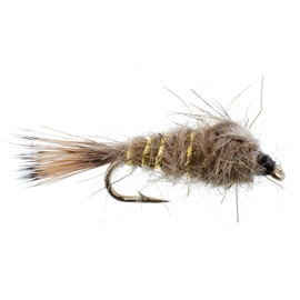 The Fly Fishing Place Weighted Nymph Fly Fishing Flies - Gold Ribbed Hare's Ear Trout Fly - 6 Flies Hook Size 14