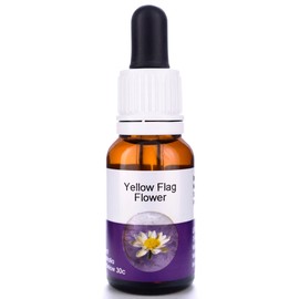 Living Essences Yellow Flag 50ml