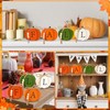 PETKNOWS 4 PCS Fall Pumpkin Wooden Signs, 3D Pumpkin Tabletop
