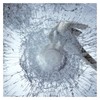BDF S8MC Window Film Security and Safety Clear 8 Mil