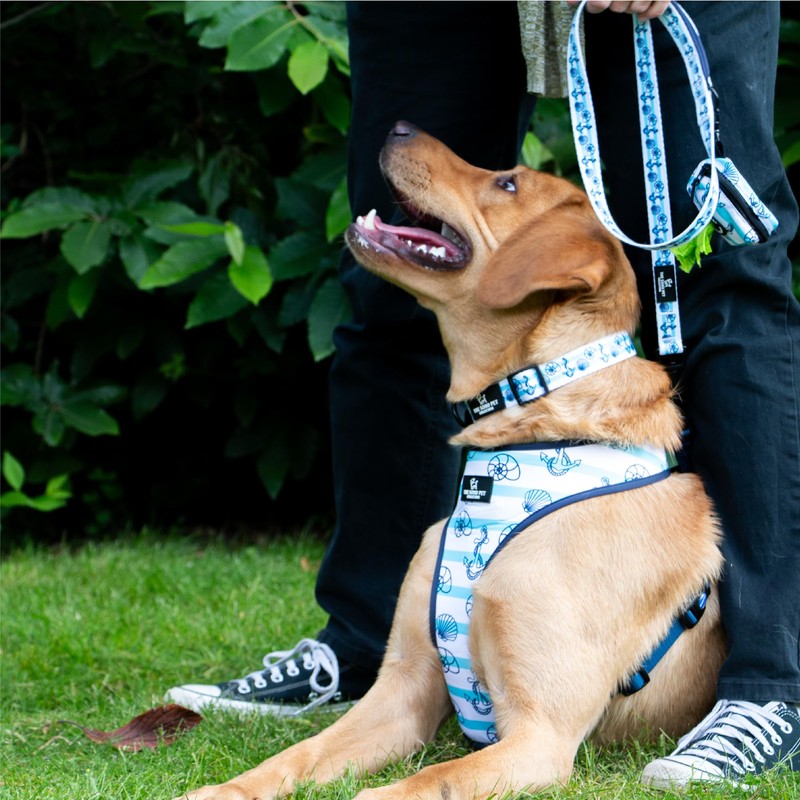 Ancol Soho Dog Reversible Harness in Nautical/Coral - Weatherproof and