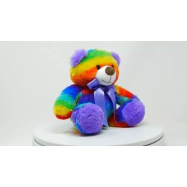 The Noodley Small Rainbow Teddy Bear Stuffed Animal Plush Toy Girls Gift Unisex Toy 12 inch