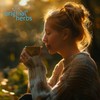 SENNA TEA, (SENNAE FOLIA.) - 100% Pure & Natural, Wild-Crafted,