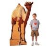 39" x 71" Egyptian VBS Camel Life-Size Cardboard Cutout Stand-Up,