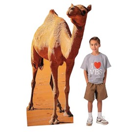 39" x 71" Egyptian VBS Camel Life-Size Cardboard Cutout Stand-Up, Vacation Bible School Supplies