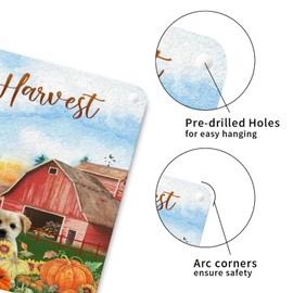 Fall Pumpkin Farm Dog Happy Harvest Metal Wall Decor Sign Happy Thanksgiving Metal Art Sign Chow Chow Retro Aluminum Metal Signs for Front Porch Laundry Room 12x12in Fall Gift Housewarming Gift