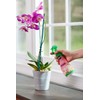 Scotts Ready-To-Use Orchid Plant Food Mist, 8 oz., Orchid Food