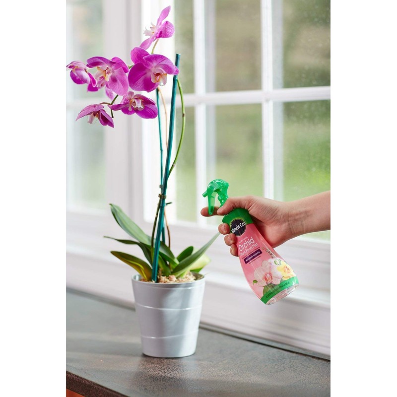 Scotts Ready-To-Use Orchid Plant Food Mist, 8 oz., Orchid Food