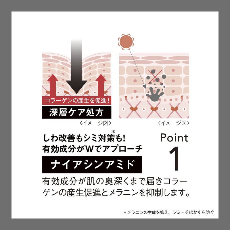 Wrinkle Turn '22 Winter Trial Set