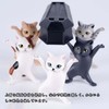 Wowjimi Pen Stand, 5 Pieces, Pen Holder, Funny Cats, Cute