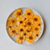 WINSOME Invisible Plate Hangers for Wall | Decorative Dish Display