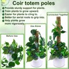 Fabulas Moss Pole 47.5 Inch - Monstera Plant Support, 4