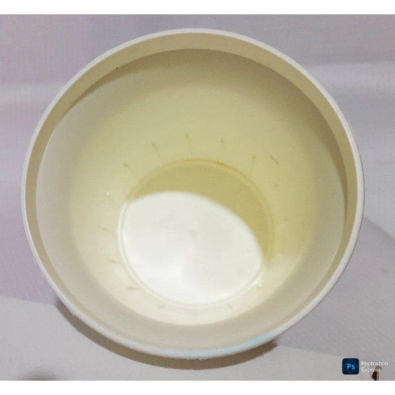 Vaso De Plástico Auténtico Original Olimpiadas Atlanta 1996 (Usado)