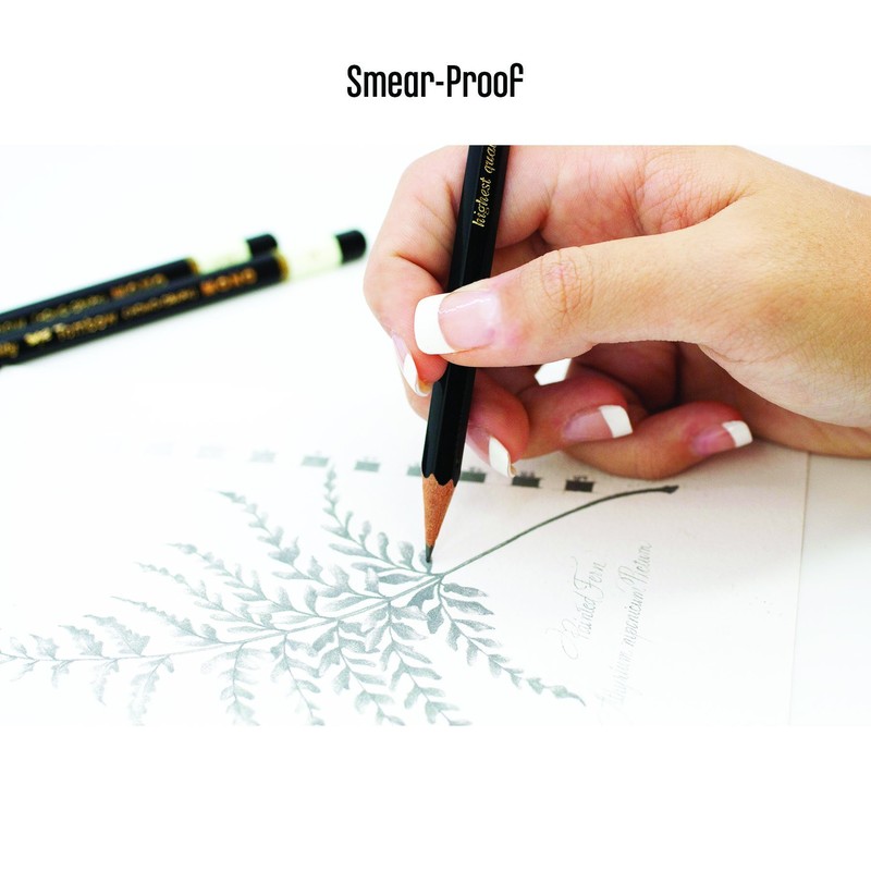 Tombow MONO Drawing Pencil, 5H, Graphite 12-Pack