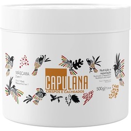 2-in-1 MASK Coils and Curls CAPULANA 500g/ 17,6 oz