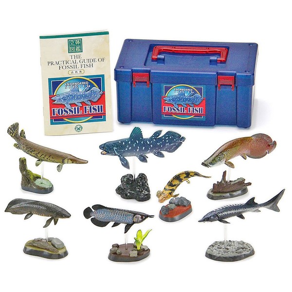 Carolata 3D Picture Book, Realistic Figure Box (Ancient Fish, 7 Types, Stand Included, Ancient Creatures, Fish (Instructions Included) Realistic Figure Toy, Gift, Birthday