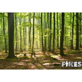 Scent Fragrance Square Air Freshener Refill Deodorizer Aroma Wafer for Commercial Use, Office, Home, Car, Pack of 3 (Woodlands)