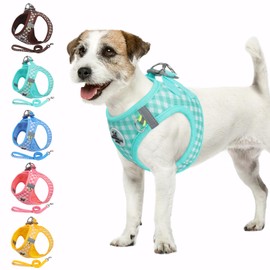 Savlot Dog Harness for Small and Medium Dogs, Anti Pull Puppy Harness with Leash, Step-In Harness for Small Dogs