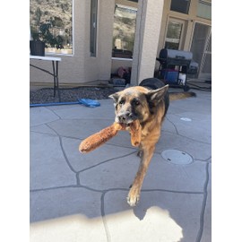 Jalousie 5 Pack Stuffingless Dog Squeaky Toys Dog Toy w/Durable Liner No Stuffing Dog Toy - Dog Toys Crinkle Paper Squeaker Toy for Medium Large Dogs (5 Pack - Color 4 - Squeaky)