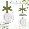 Dansib 6 Pcs Passive Diffusers for Essential Oils 6 Aroma