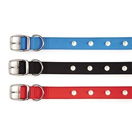 Zack & Zoey Glow Stud Collar, 11 to 14-Inch, Red