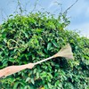 TTS Handmade Whisk Sweeping Broom - Vietnamese Straw Soft Broom