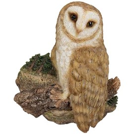 Vivid Arts - Barn Owl on Branch Magnet - WLM-BO14-F