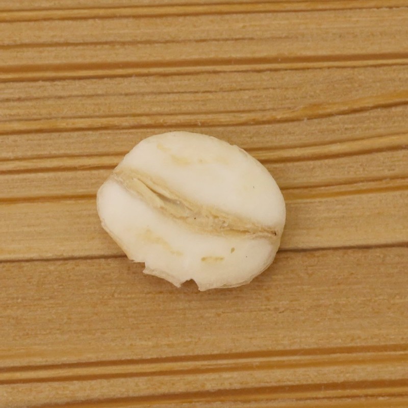 Nishida Barley Germ Barley 800 g Domestic Barley