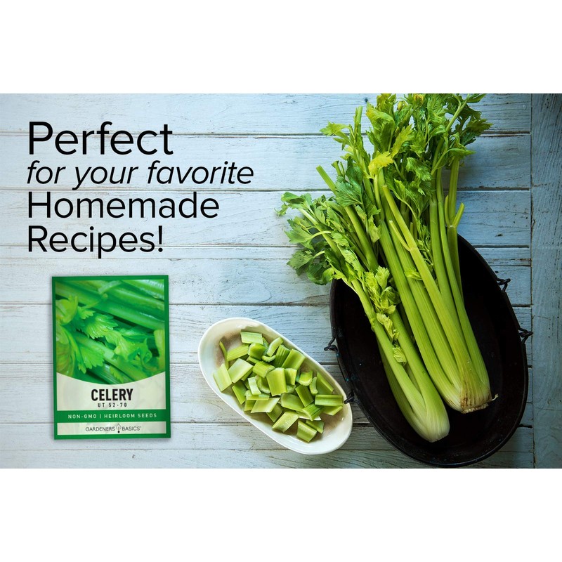 Gardeners Basics, Celery Seeds for Planting - UT 52-70 Variety