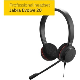 Jabra Evolve 20 UC Stereo Ear-Pad Headset (4999-829-209)