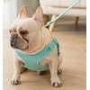 Benala No Pull Dog Harness Leash Reflective- Velvet Pet Harness
