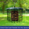 Backyard Essentials Squirrel Defeater Seed or Suet Log Cage Feeder