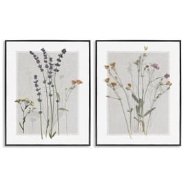 Stupell Industries Delicate Wildflower Herb Sprigs Lavender Nature Botanicals 2pc set Framed Wall Art, Design by Carol Robinson
