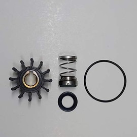 SCP-12137 Minor Repair Kit for Oberdorfer pump 302m-03