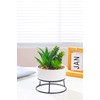 AMOYINC 3 Packs Artificial Plants & Greenery with Ceramic Planters,