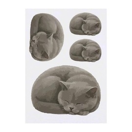 Azeeda 4 x 'Curled Up Sleeping British Shorthair Cat' Temporary Tattoos - Water Resistant, Skin-Safe, Non-Toxic Transfers, Mixed Sizes (TO00090830)