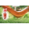 asobu FLAVOUR IT 2 GO Flavored Water Bottle, Red, ANDFN-RD