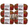 Bernat Blanket 6 Pack with Patterns (Harvest)