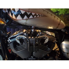 JBSporty ♤ Coil Relocation and ignition Bracket with Red Genuine Taylor Wires To fit Harley Davidson 04-06 Sportster, 883, 1200 ♤