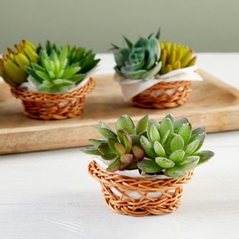 24 Pack Small Woven Basket Set, 3.1x1.2 Inches, Bulk Mini Wicker Baskets for Favors
