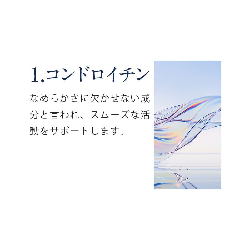 オーガランド (ogaland) プロテオグリカン Sante サンテ (180粒 / 約6ヶ月分) サプリ プロテオグリカン