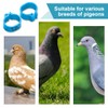 EIHI Pack of 100 8 mm Multicoloured Aluminium Pigeon Leg